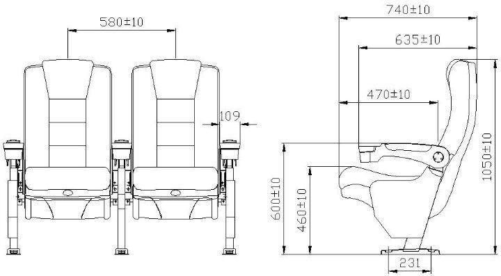 Home Theater Economic Leather VIP Theater Cinema Auditorium Movie Recliner