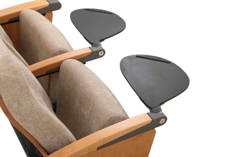 Economic Office Lecture Theater Lecture Hall Audience Auditorium Theater Church Chair