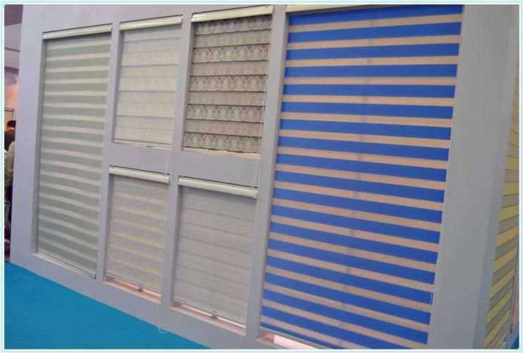 Day and Night Zebra Blinds (SGD-R-3076)