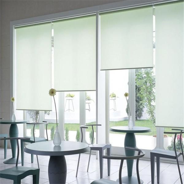 External Blackout Fabric Motorized Roller Blinds Window Curtain