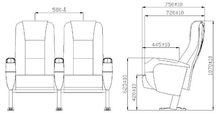 Home Theater Multiplex Leather 2D/3D Theater Cinema Auditorium Movie Recliner