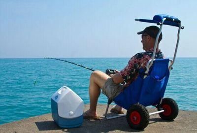 Collapsible Beach Chair with Sunshade