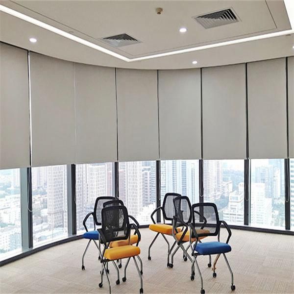 External Blackout Fabric Motorized Roller Blinds Window Curtain