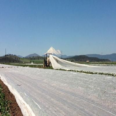 PP Spunbond Nonwoven Fabric for Agriculture Ground Cover