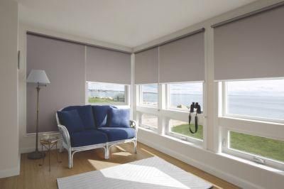 Blackout Polyester Fabric Roller Blind for Indoor Use