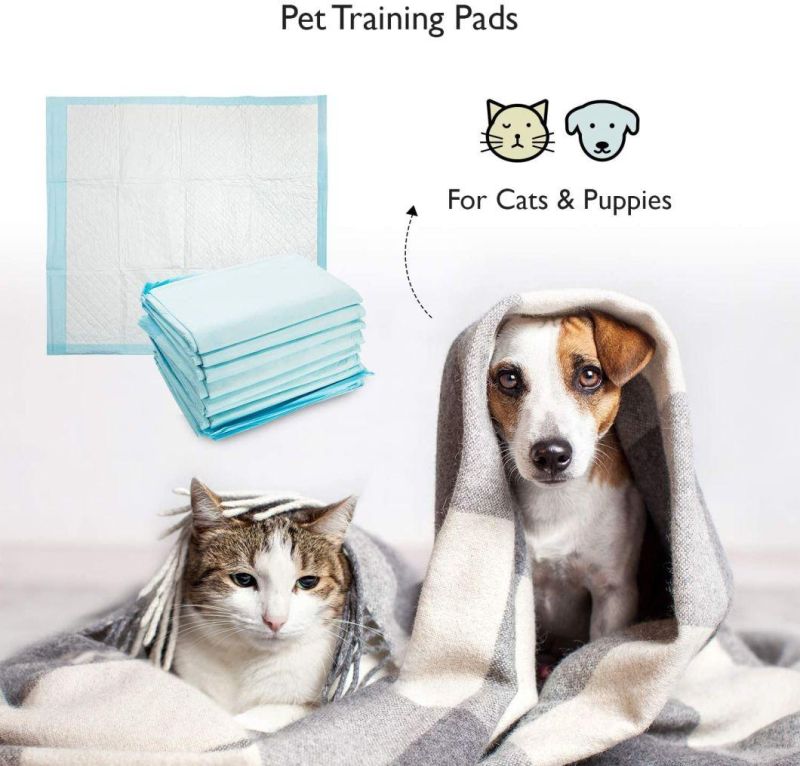 High Absorbency Incontinence Medical Bed Pad Disposable Adult Baby Underpad Dog Diaper Puppy Training Pad