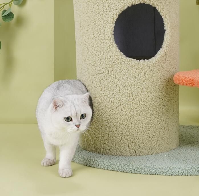 Wholesale Cat Scratching Tree Pet Product and Pet Furniture with Comfortable Cave by Pet Supplier