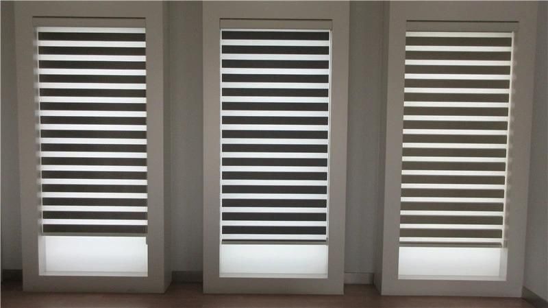 China Customized Size Zebra Blinds for Home