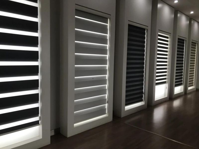 Roller Shades Roller Manual Fabric Blackout Blinds Motorized Blinds