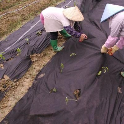 Agriculture Gardening Weed Mat PP Nonwoven Weed Control Mat