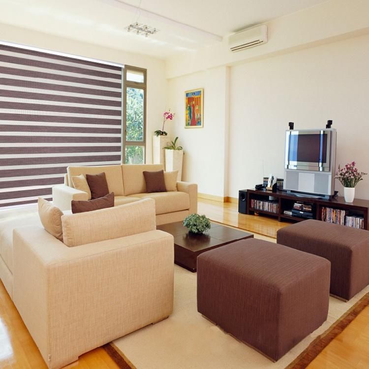 Double Layers Luxury Smart Dual Roller Motor Blinds 100% Blackout Day Night Window Zebra Blinds