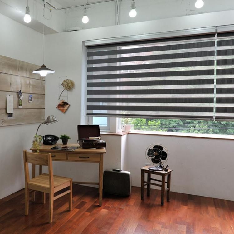 Day and Night Windoow Shades Roller Zebra Blinds