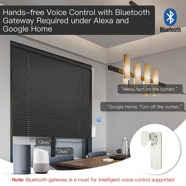 Tuya Smart Motorized Chain Curtain Motor Switch WiFi Remote Control Shade Roller Blind Motor for Alexa Google Home