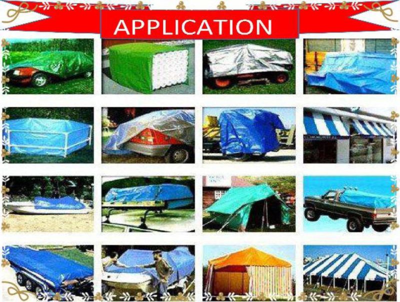 Multi-Purpose Car Cover Tarp Cover Polyethylene Tarpaulin