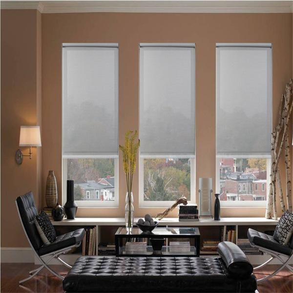 External Blackout Fabric Motorized Roller Blinds Window Curtain