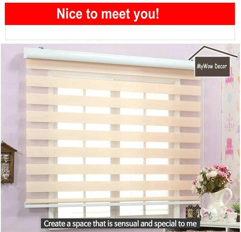 Wholesale Window Blinds Polyester Fabric Dustproof Zebra Roller Blind