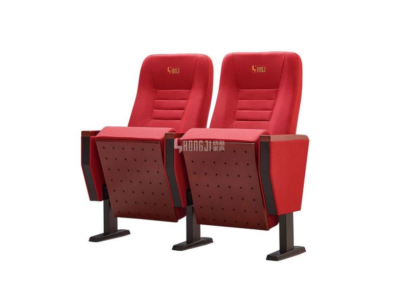 Lecture Hall Stadium Media Room Office Public Theater Church Auditorium Seating