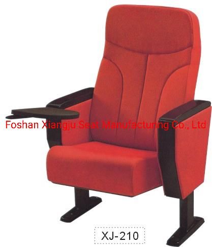 Public Lecture Hall School Economic Media Room Church Theater Auditorium Chair