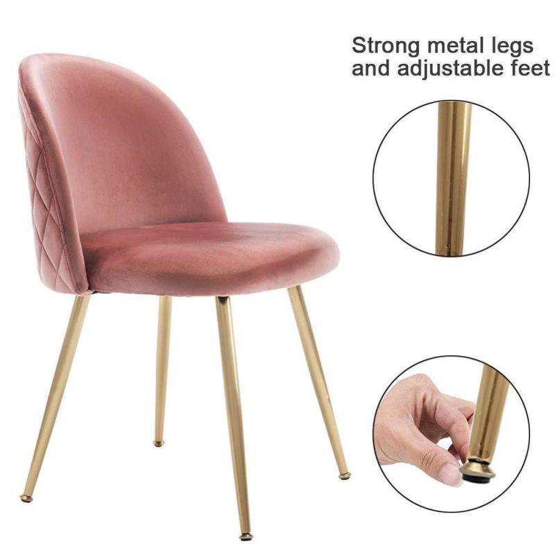 Luxury Colorful Soft Velvet Fabric Upholstery Cafe Dining Chair with Metal Leg