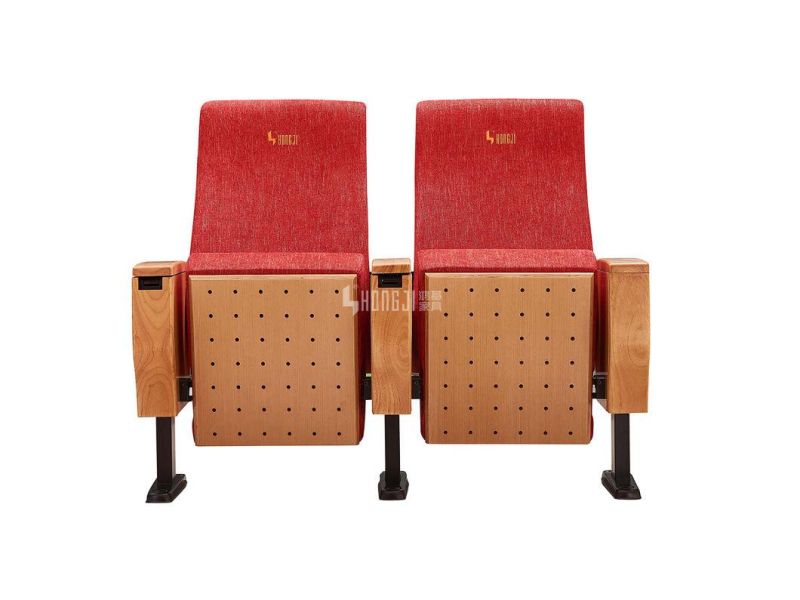 Economic Public Lecture Theater Media Room Conference Theater Church Auditorium Chair